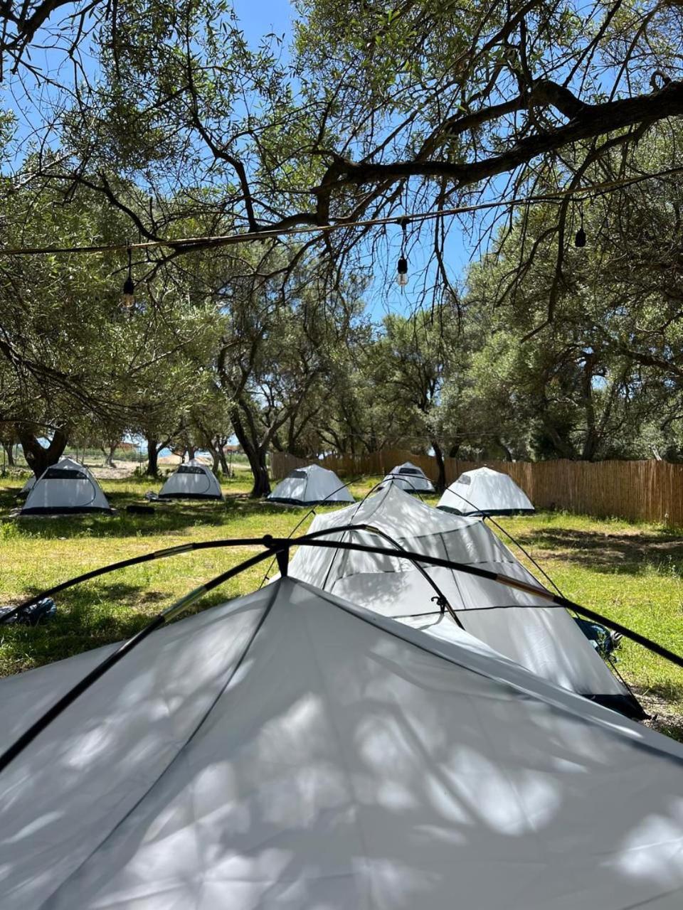 Borsh Olive Camping Hotel Exterior photo